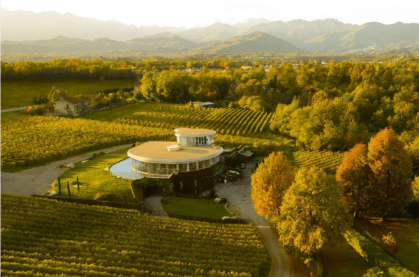 Visita Cantina Pietro Cassina Fisar Torino